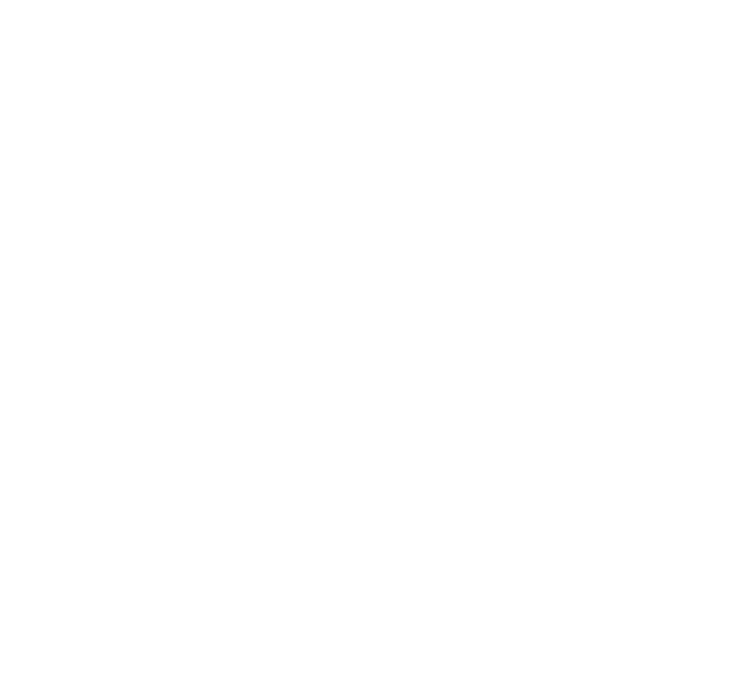 DE PUNTA A PUNTA